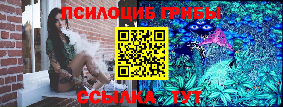 Оренбург  Псилоцибиновые грибы мицелий  Вход с VPN 