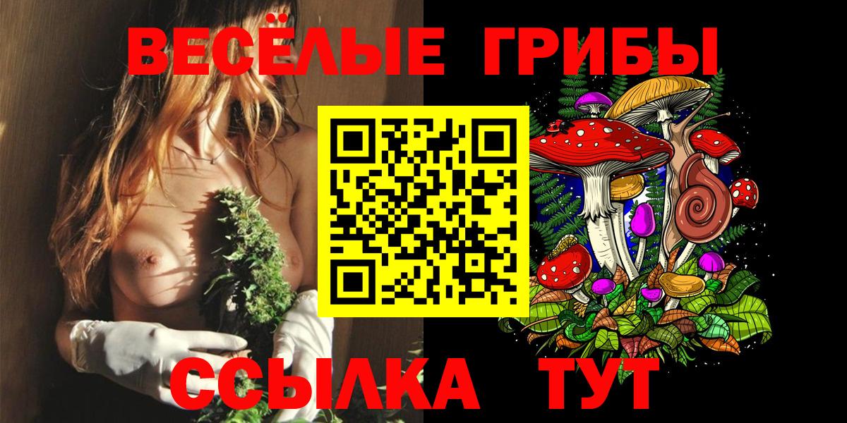 Псилоцибиновые грибы Psilocybe Оренбург